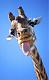 HAPPY BIRTHDAY JUDY!  STAMPINGQUEENJAR!!-giraffetongue.jpg