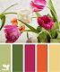 CAS272 - Tulip Color Palette Challenge (5/12/14)-04_tulip-color-color-palette-donidoodle.jpg