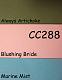 CC288: Blushing Artichoke Mists!-cc288.jpg