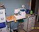 Combined Craft Room-sewing-table.jpg