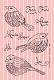 What is your favorite bird stamp set?-fancybirdsstampset.jpg