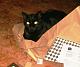 fellow Cat Lovers, how do you do it?-sarge-laying-my-stamps-new-paper.jpg