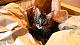 So what is your cat up to?-imag1023.jpg