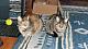 What about us cat lovers?-willow_and_bast.jpg