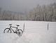 SIC88-SNOW!  12/13/2010-bicycle-snow.jpg