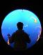 SIC90-CIRCLES! (1/10/2011)-jelly-fish-circle.jpg