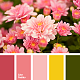 IC639 {3/3/18} Color Palettes-color-palette-2465.png