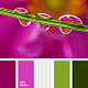 IC639 {3/3/18} Color Palettes-cvetovaya-palitra-1411.png