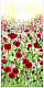 IC650 5/19/18 {Victoria Bellas Carter}-forever-poppies.png