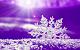 IC670 {10/6/18} The Photo Argus-snowflake15.jpg