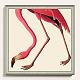 IC703  {5/25/19}  Ballard Designs-t_withoutzoom-1-poised-flamingo-art.jpg