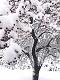 IC783 {12/5/20} JRL Interiors-snowy-tree.jpg