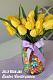 IC799 {3/27/21} Homebnc-yellow-tulips.jpg