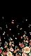IC837 {Emerlyn Closet} December 18, 2021-7286a2e0df8596f5b58bfdafbe76ca6f.jpg