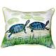 IC864 {6/25/22} Wildlife Wonders-turtles-pillow.jpg