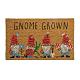 IC877 {9/24/22} What On Earth-gnome-grown-rug.jpg
