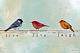 IC925 {8/26/23} Imagekind-birds-inspiration-live-love-laugh.jpg