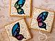 MMTPT429~October 11, 2016~Can You See Me Now?  Can You See Me Now?-butterfly-cookies.jpg