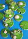 MMTPT656-February 16, 2021-A Perfect Pair-frog-cookies.jpg