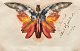 MMTPT775 - May 30, 2023 - Favourite Time of the Day-bierstadt-butterfly_morse_museum-stebbins_collection_210819.png