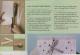 Directions for Paper Beads-paperbead-instruction.jpg