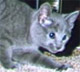 Circe's Avatar