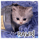 Craftykitten1's Avatar