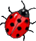 ladygabi's Avatar