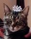 loyce's Avatar