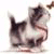 Cleakelok's Avatar
