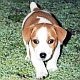 clyve's Avatar