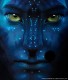 Denny8569's Avatar