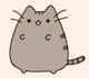 kiki_mac's Avatar