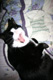 booboo319's Avatar
