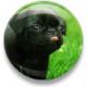 erinsmom37's Avatar