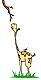 sugarbeet's Avatar