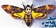EVLBUTTERFLY's Avatar