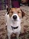 JRT's Avatar