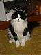 Methos