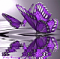 craftycrunchymama's Avatar