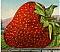 MadStrawberry's Avatar