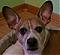 Stampin' Annie's Avatar