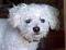 sweetpea1501's Avatar