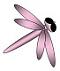 pink dragonfly