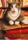 catgondek's Avatar