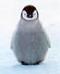 clou72's Avatar
