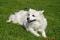 deb_loves_stamping's Avatar